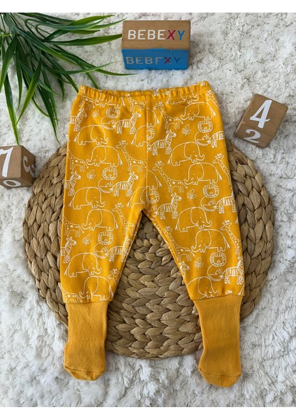 Filli Pijama Altı Patikli