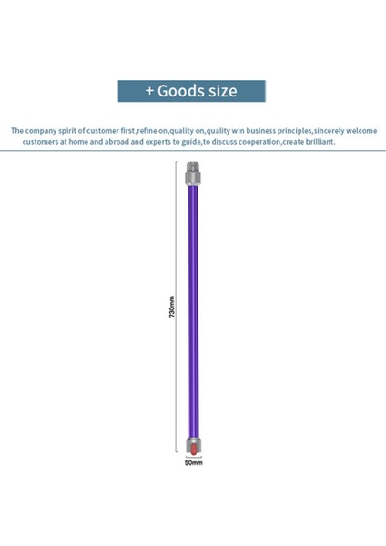 Dyson V6/DC58/59/61/62 Için Uzatma Çubuğu Metal Uzatma Borusu, Mor (Yurt Dışından) modelleri