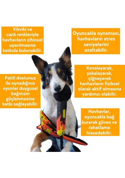 Gitar ve Mikrofon Köpek Oyuncağı