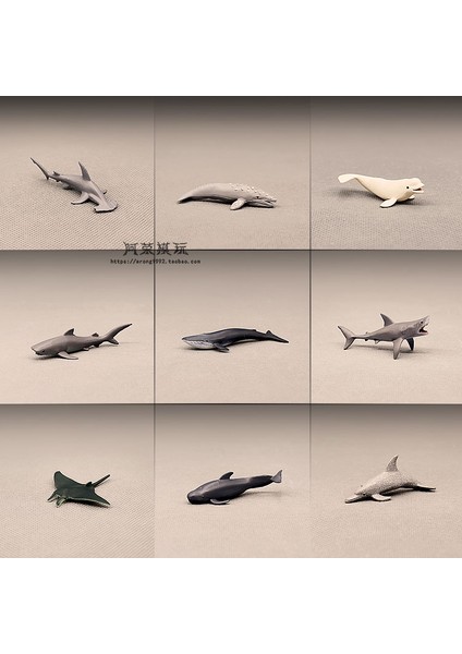 Deniz Hayvanı Modeli Mavi Gri Balina Balina Köpekbalığı Yunus Manta Işınları Okyanuslar Dünya Dıy Epoksi Mini Heykelcik Aksiyon Figürleri Oyuncaklar (Yurt Dışından) fiyatları