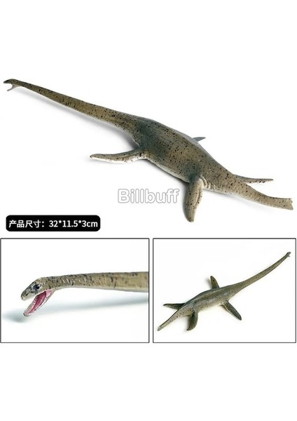 Hayvan Figürleri B-Simülasyon Vahşi Hayvanlar Klasik Abs Plesiosaur Aksiyon Figürleri Dinozor Koleksiyonları Modelleri Eğitici Oyuncaklar (Yurt Dışından)