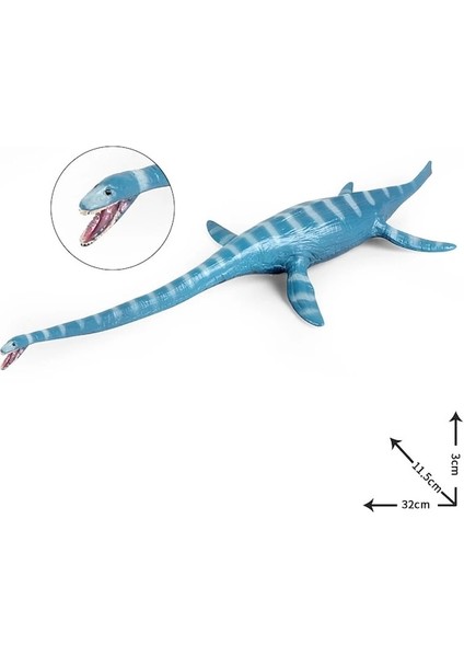Hayvan Figürleri B-Simülasyon Vahşi Hayvanlar Klasik Abs Plesiosaur Aksiyon Figürleri Dinozor Koleksiyonları Modelleri Eğitici Oyuncaklar (Yurt Dışından)