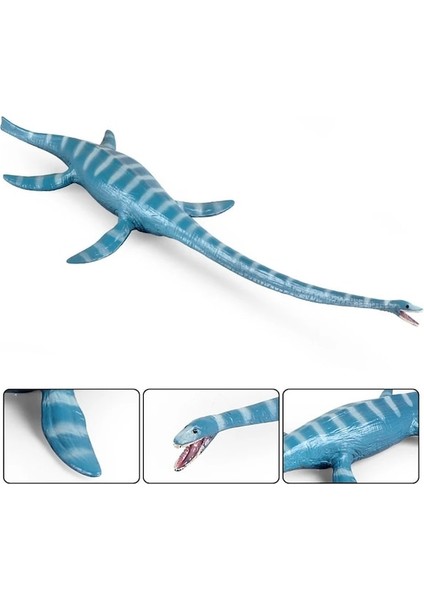 Hayvan Figürleri B-Simülasyon Vahşi Hayvanlar Klasik Abs Plesiosaur Aksiyon Figürleri Dinozor Koleksiyonları Modelleri Eğitici Oyuncaklar (Yurt Dışından)