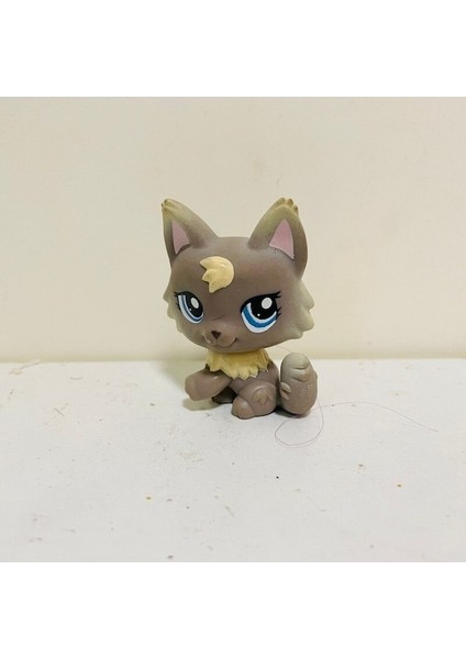 Orijinal 5 cm Sevimli Oyuncaklar Gri Tilki Köpek Kedi Turuncu Nadir Ayı Güzel Pet Hayvan Dükkanı Figürü Lpstoy Littlest Bebek Hediye Kız Oyuncak (Yurt Dışından)