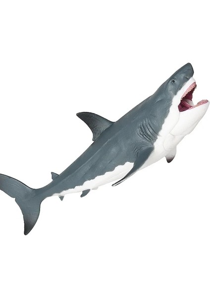 Köpekbalığı Heykelcik-B-Gerçekçi Deniz Hayvanları Megalodon Köpekbalığı Figürleri Aksiyon Figürleri Modeli Koleksiyonu Eğitici Oyuncaklar Çocuklar (Yurt Dışından) modelleri