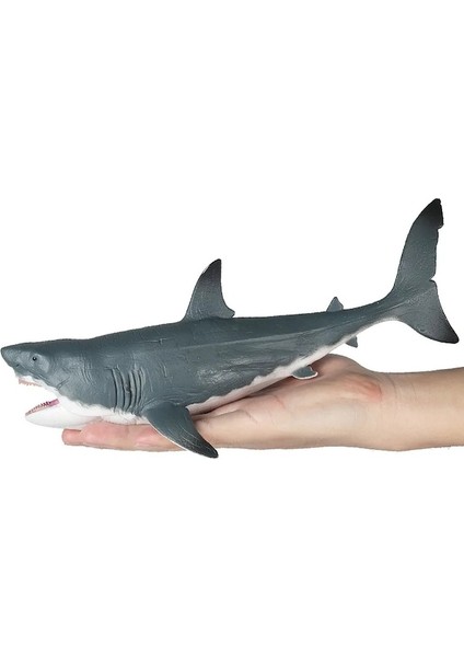 Köpekbalığı Heykelcik-B-Gerçekçi Deniz Hayvanları Megalodon Köpekbalığı Figürleri Aksiyon Figürleri Modeli Koleksiyonu Eğitici Oyuncaklar Çocuklar (Yurt Dışından) fırsatları