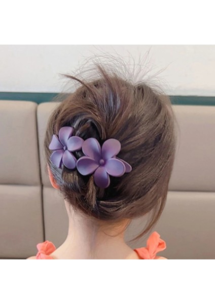 Buzlu Çiçek Büyük Saç Tokası Kız Tokalar Kadın Şapkalar At Kuyruğu Akrilik Ördek Gagası Klipler Büyük Boy Saç Pençeleri Tokalarım (Yurt Dışından) fırsatları