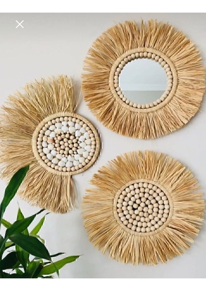 Emekhome Deniz Kabuklu