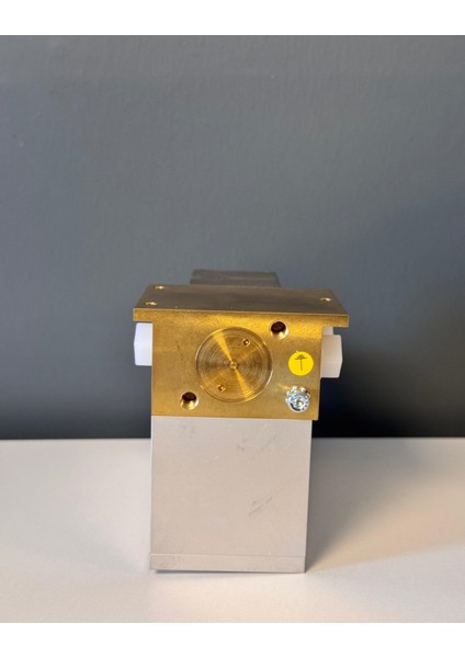 Lanny Gmbh EPR0B3.5Z Tru V3.0 24VDC 1..1A fiyatları