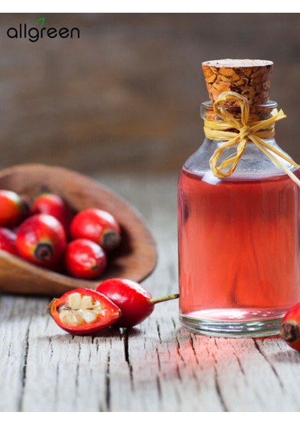 Kuşburnu Yağı 20 ml - Sabun Yapımı İçin Doğal ve Yenileyici Yağ fiyatları