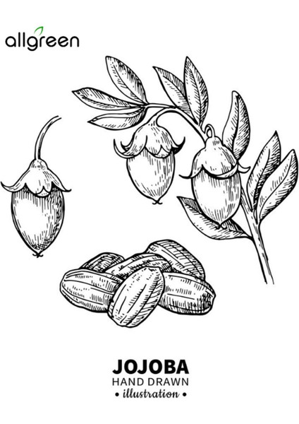 Jojoba Yağı 50 ml - Sabun Yapımı İçin Doğal ve Nemlendirici Yağ modelleri