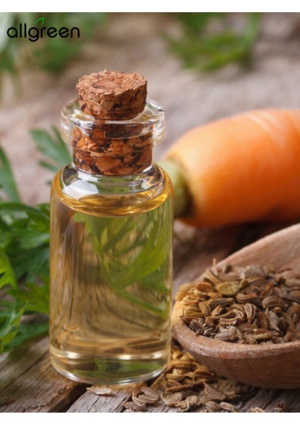 Havuç Yağı 50 ml - Sabun Yapımı İçin Doğal ve Besleyici Yağ fiyatları