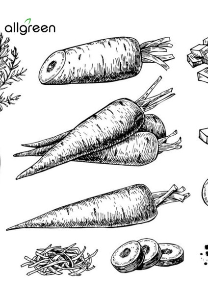 Havuç Yağı 50 ml - Sabun Yapımı İçin Doğal ve Besleyici Yağ modelleri