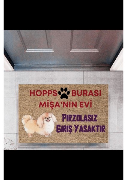 Kapı Önü Paspası Dekoratif Dijital Baskı Hopps P-2474