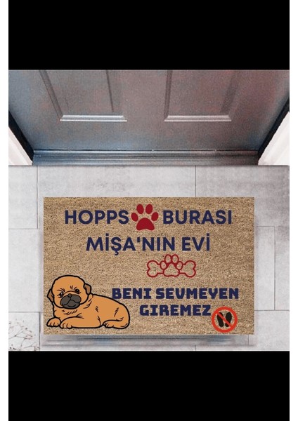 Kapı Önü Paspası Dekoratif Dijital Baskı Hopps P-2475