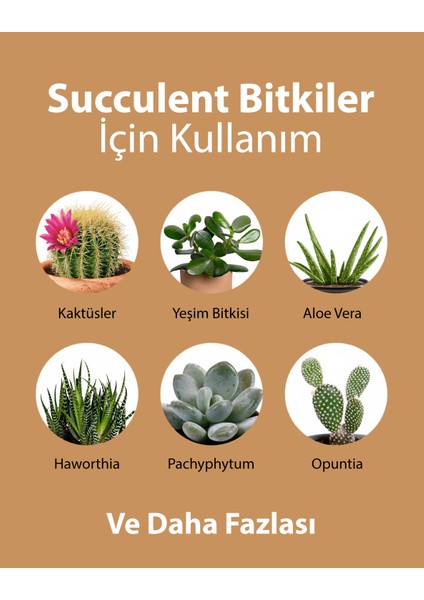 Kullanıma Hazır Sukulent Sıvı Bitki Besini - Güçlü Kök ve Sağlıklı Yapraklar İçin Besleyici Bitki Besini 250 ml