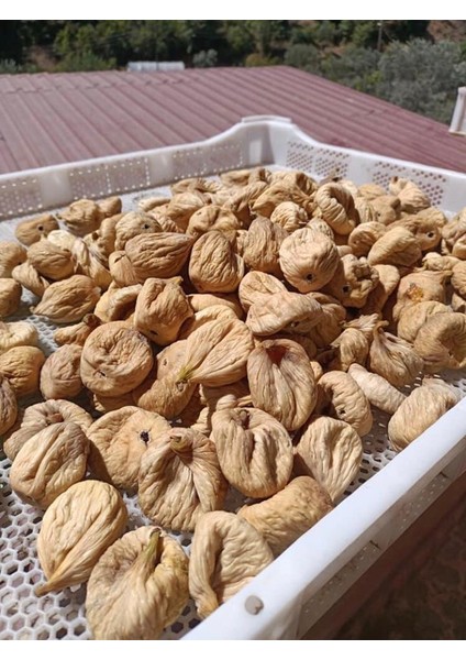 Aydın Kuru Dağ Inciri 2 kg fiyatları