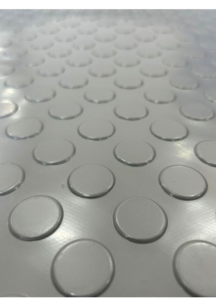 Paralı Paspas - Genişlik 120 cm - Kaymaz Taban