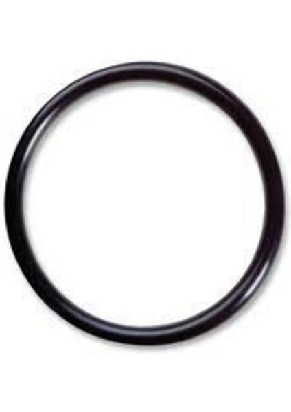 Orjinal 96157730 Hyd Oil O-Ring 96157730