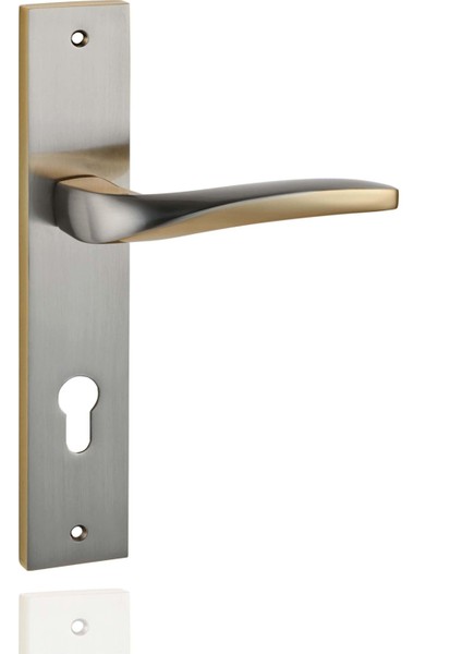 Selanik Aynalı &amp; Rozetli Kapı Kolu