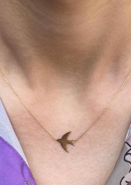 Altın Martı Plaka Kolye fiyatları