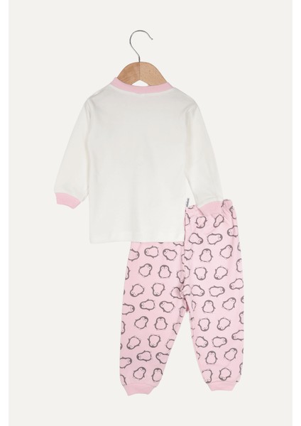 Üç Penguen Desenli Kız Bebek Ikili Pijama Takımı Pembe fiyatları
