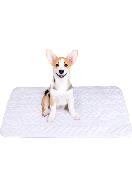 Yıkanabilir, Kapitoneli Sıvı Geçirmez Kedi Ve Köpek Çiş Pedi fiyatları