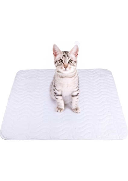 Yıkanabilir, Kapitoneli Sıvı Geçirmez Kedi Ve Köpek Çiş Pedi modelleri