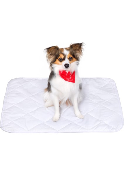 Yıkanabilir, Kapitoneli Sıvı Geçirmez Kedi ve Köpek Çiş Pedi