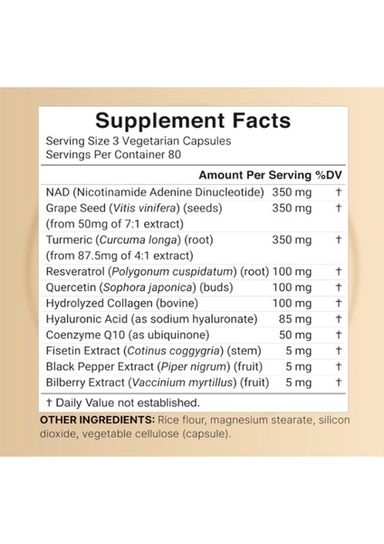 Nad+ 1,500MG 240 Veggie Capsul 10-In-1 Complex With Resveratrol Plus Hyaluronic Acid, Quercetin, Fisetin, Collagen, & More – Nicotinamide