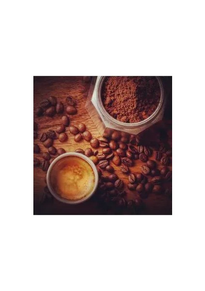 Premium Gaviao V60 Öğütülmüş Kahve