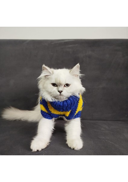 Kedi Köpek için Balıkçı Yaka Fenerbahçe Kazak