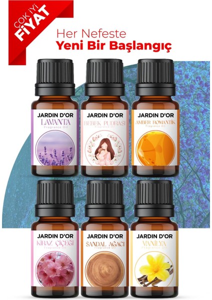 6'lı Set Esansiyel Uçucu Yağ Buhurdanlık Yağı Hava Nemlendirici Aroma Difüzörü Kokusu Esans