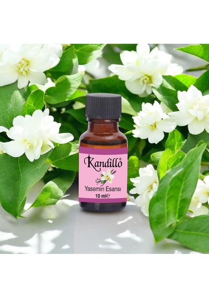 3' Lü, Mum Esansı Seti, Yasemin, Lavanta, Beyaz Sabun , Buhurdanlık Esans Yağ , Kurutma Topu Kokusu fırsatları