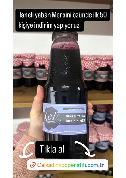 Taneli Yaban Mersini Özü 1400G