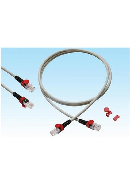 30 cm Patch Cord 4X2X24 Utp Halojen Free (LS0H) Grı RENK(T06-00420-036)