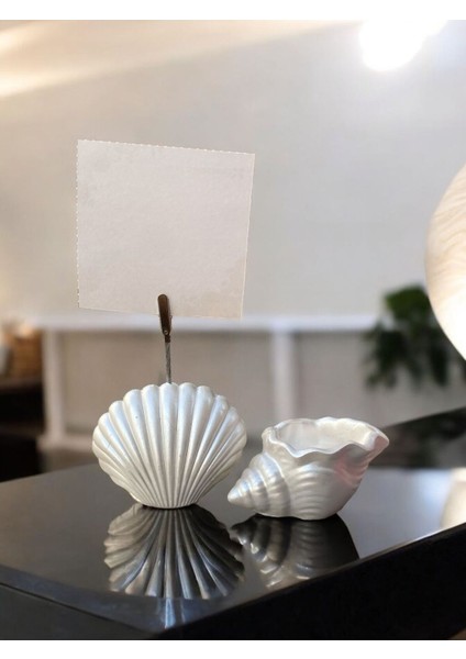Sedef Inci Istiridye Fotoğraf Not Tutacak Deniz Kabuğu Mumluk Hediyelik Ofis Masası Seti