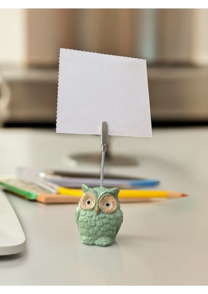 Baykuş Temalı Yeşil Kawaii Fotoğraf Not Tutucu
