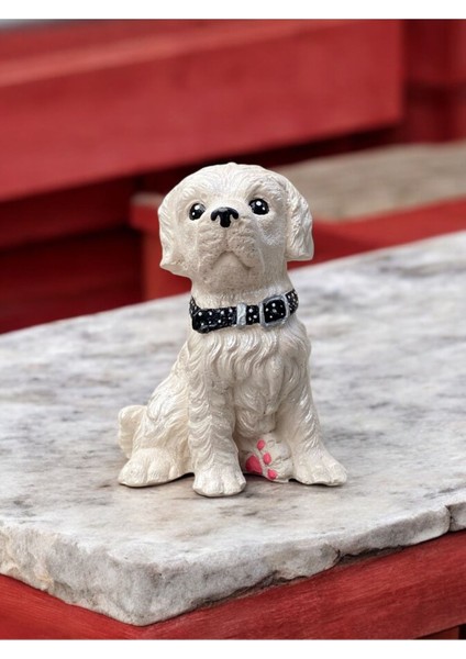 Kişiselleştirilebilir Golden Retriever Köpek Biblosu Simli Sedef Tüyler