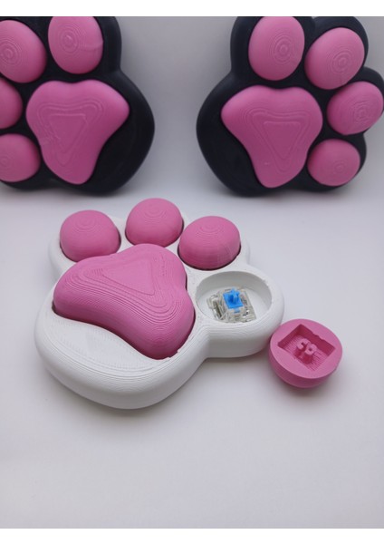 Pati Switch Kedi Oyuncağı ( Mekanik Sesli ) indirimleri