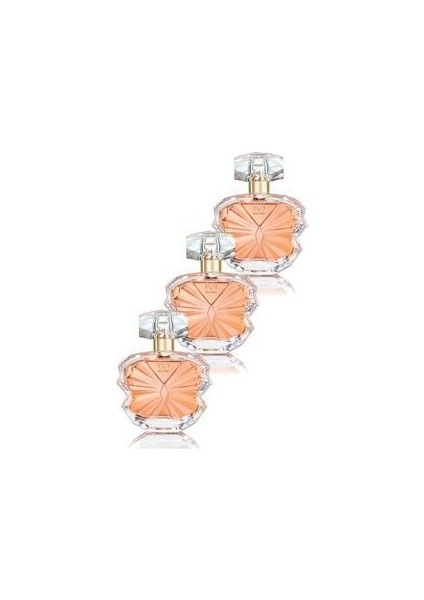 Eve Become Kadın Parfüm Edp 50 Ml. Üçlü Set