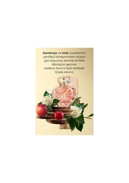 Eve Become Kadın Parfüm Edp 50 Ml. Üçlü Set modelleri