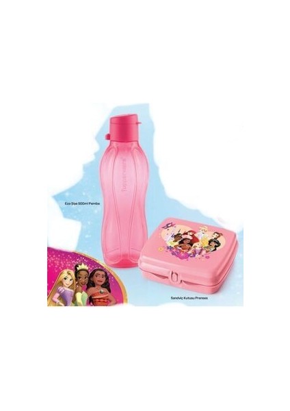 Prenses Set Eco Şişe 500ML ve Sandviç Kutusu Pembe Set fiyatları