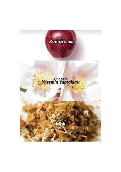 Eve Prive Kadın Parfüm Edp 50ML fırsatları