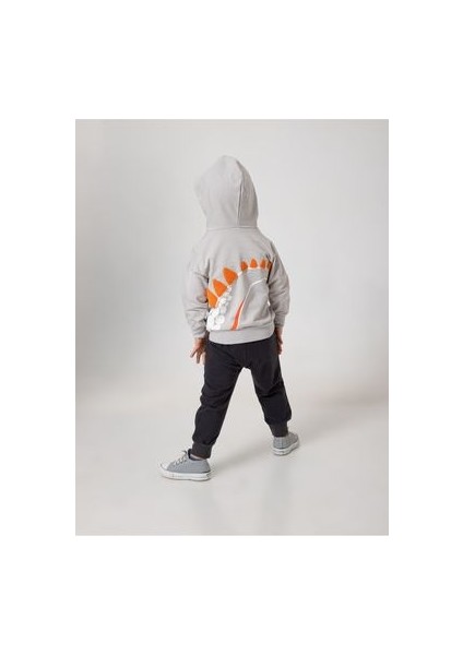 Erkek Bebek Pamuklu Şeritli Dinozor Baskılı Ikili Takım fiyatları