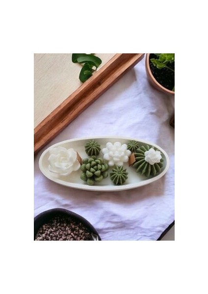 Saksıda Kaktüs Seti - 8’li Mini Dekoratif Sukulent, Kokulu, Hediyelik Mum Seti %100 Soya Wax fiyatları