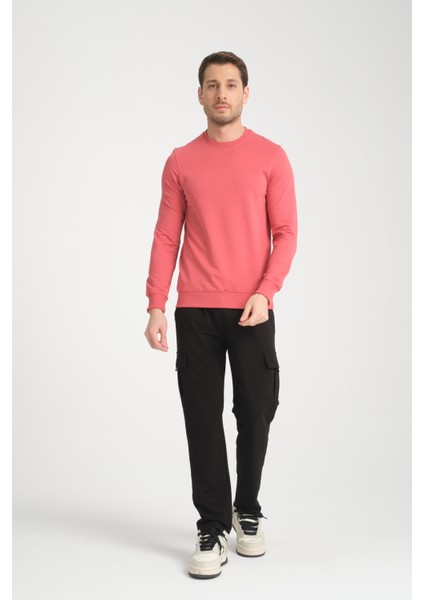Bisiklet Yaka Basic Ince Mevsimlik Sweatshirt RD23YE581001 fiyatları