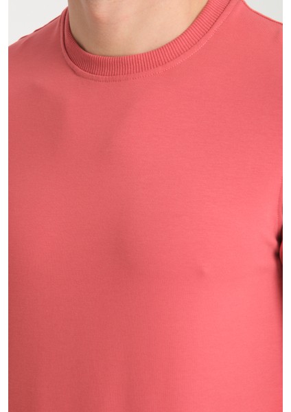 Bisiklet Yaka Basic Ince Mevsimlik Sweatshirt RD23YE581001 modelleri