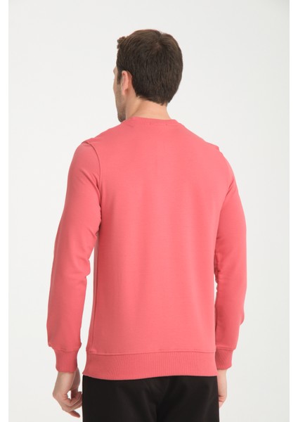 Bisiklet Yaka Basic Ince Mevsimlik Sweatshirt RD23YE581001 fırsatları