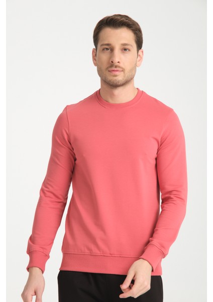 Bisiklet Yaka Basic Ince Mevsimlik Sweatshirt RD23YE581001 indirimleri